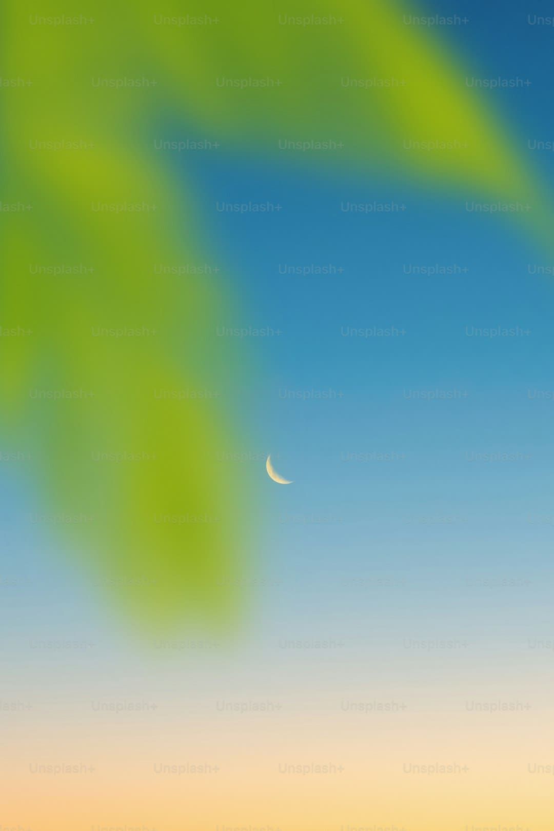 http://n.sinaimg.cn/news/transform/w600h400/20180309/0U-V-fxpwyhw3324520.png